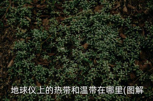  地球儀上的熱帶和溫帶在哪里(圖解