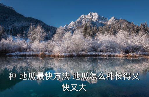 種 地瓜最快方法 地瓜怎么種長得又快又大