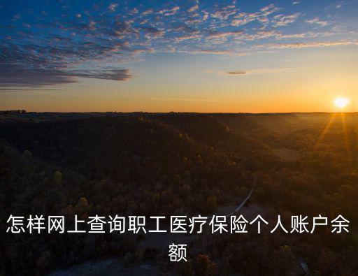 怎樣網上查詢職工醫療保險個人賬戶余額