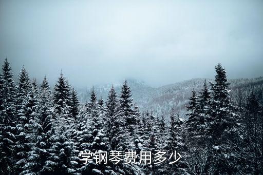 學鋼琴費用多少