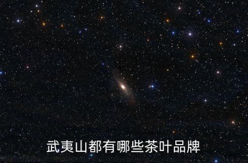 武夷山都有哪些茶葉品牌