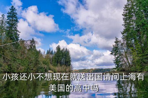 小孩還小不想現在就送出國請問上海有美國的高中嗎