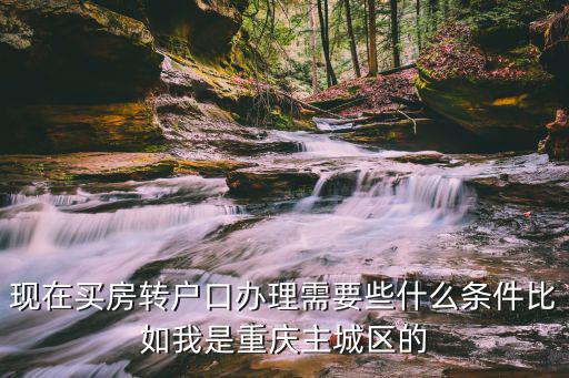 現在買房轉戶口辦理需要些什么條件比如我是重慶主城區的