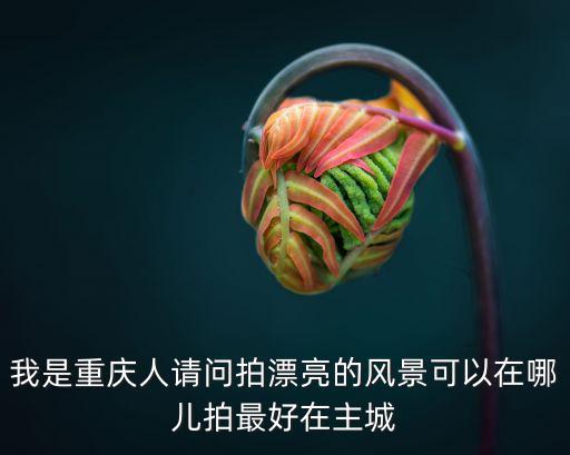 我是重慶人請問拍漂亮的風景可以在哪兒拍最好在主城