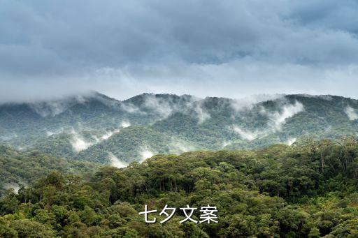 七夕文案，七夕也過了大家應該看了很多相關的文案了吧誰能說說哪些比較好