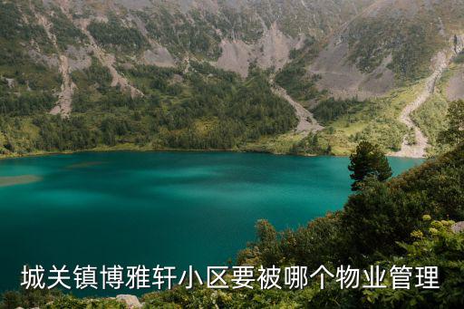 天津市龍躍物業(yè)服務(wù)管理有限公司，天津物業(yè)管理