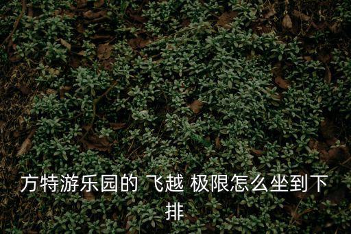 飛越極限,fant歡樂世界飛越極限吸引眾多游客參與