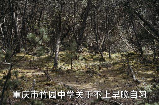 重慶市竹園中學關(guān)于不上早晚自習