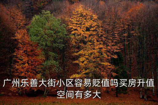 天津市樂善大街，海珠區樂善大街在哪