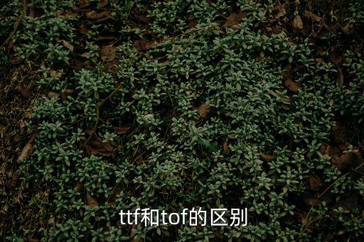 ttf,選擇保存ttffont文件夾然后單擊確定