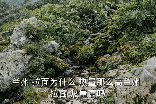蘭州 拉面為什么 熱量那么高蘭州 拉面 熱量高嗎