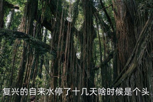 復興的自來水停了十幾天啥時候是個頭