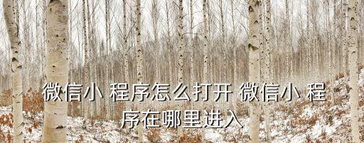  微信小 程序怎么打開(kāi) 微信小 程序在哪里進(jìn)入