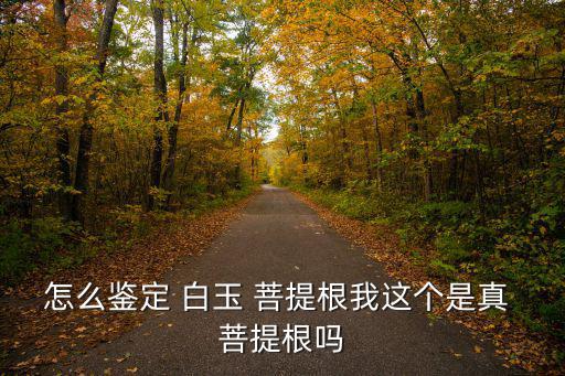 怎么鑒定 白玉 菩提根我這個是真 菩提根嗎