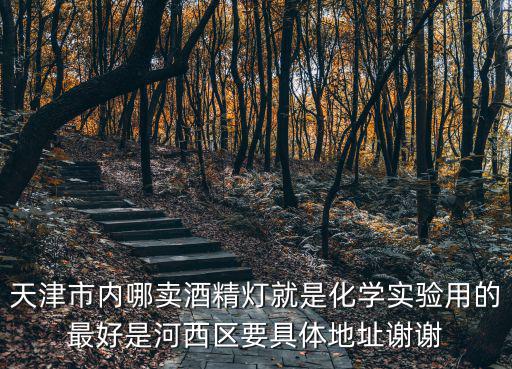 天津市內哪賣酒精燈就是化學實驗用的最好是河西區要具體地址謝謝
