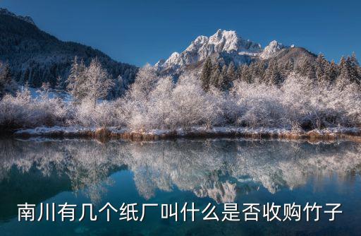 南川有幾個紙廠叫什么是否收購竹子
