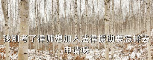 我剛考了律師想加入法律援助要怎樣去申請呀