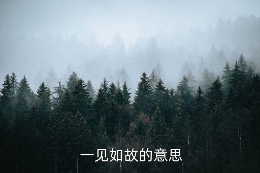  一見如故的意思