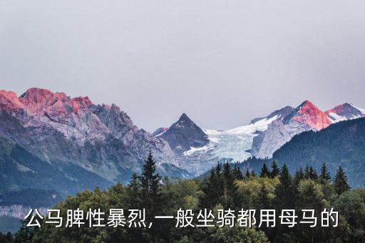 公馬脾性暴烈,一般坐騎都用母馬的