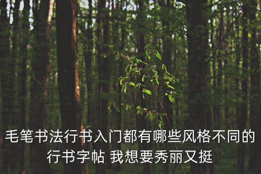 毛筆書法行書入門都有哪些風格不同的行書字帖 我想要秀麗又挺