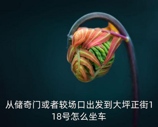 從儲(chǔ)奇門(mén)或者較場(chǎng)口出發(fā)到大坪正街118號(hào)怎么坐車(chē)