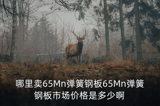 哪里賣65Mn彈簧鋼板65Mn彈簧鋼板市場價格是多少啊