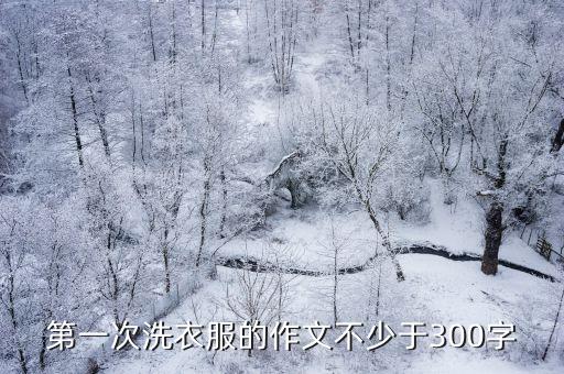 第一次洗衣服作文，第一次洗衣服的作文不少于300字