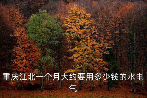 重慶江北一個月大約要用多少錢的水電氣