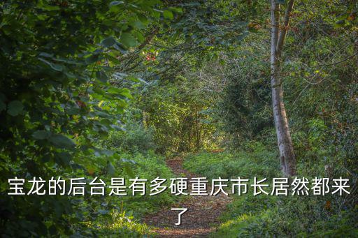 寶龍的后臺是有多硬重慶市長居然都來了