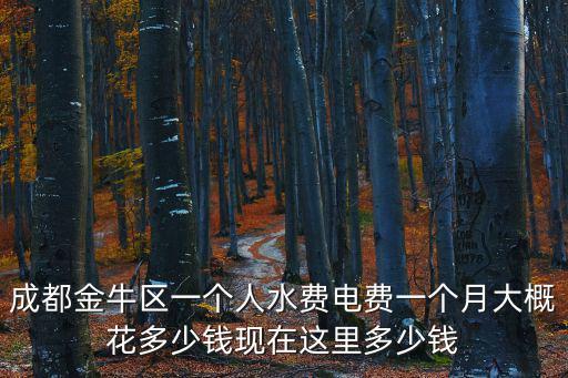 成都金牛區一個人水費電費一個月大概花多少錢現在這里多少錢