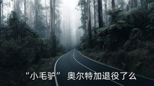 “小毛驢” 奧爾特加退役了么