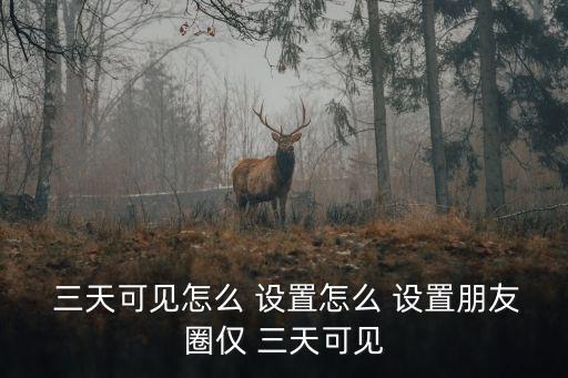 朋友圈怎么設置三天可見
