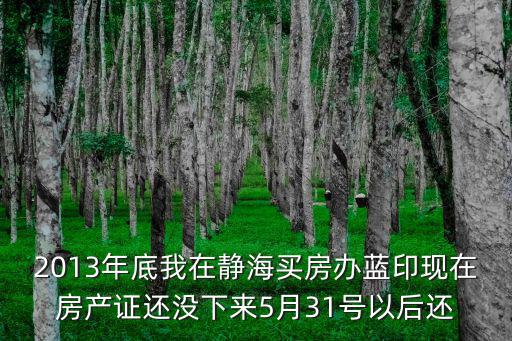 2013年底我在靜海買房辦藍印現在房產證還沒下來5月31號以后還