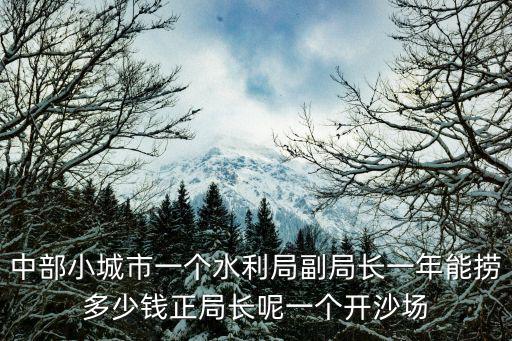 中部小城市一個水利局副局長一年能撈多少錢正局長呢一個開沙場