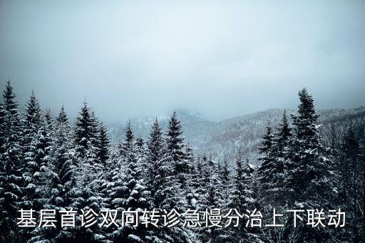 基層首診雙向轉診急慢分治上下聯動