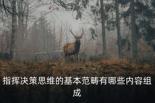 指揮決策思維的基本范疇有哪些內容組成