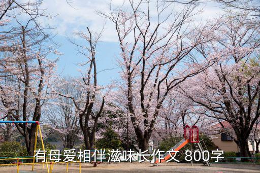有母愛相伴滋味長作文 800字
