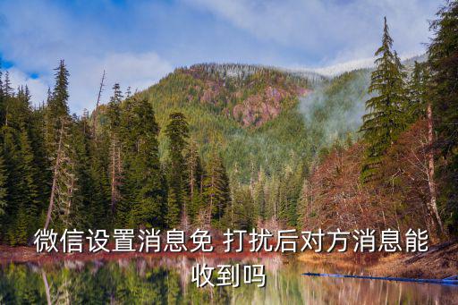  微信設置消息免 打擾后對方消息能收到嗎