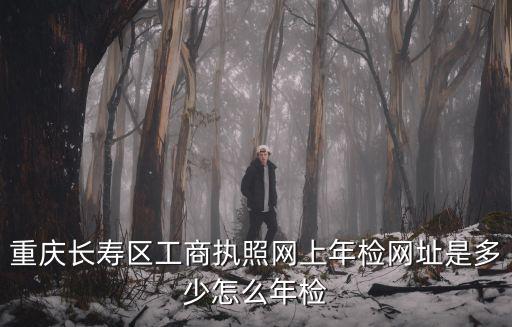 重慶市工商核名系統(tǒng)，重慶工商紅盾網(wǎng)企業(yè)名庫