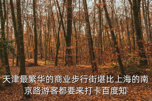 天津最繁華的商業步行街堪比上海的南京路游客都要來打卡百度知