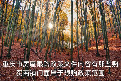 重慶市房屋限購政策文件內容有那些購買商鋪門面屬于限購政策范圍