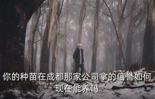 你的種苗在成都那家公司拿的信譽如何現在能養嗎