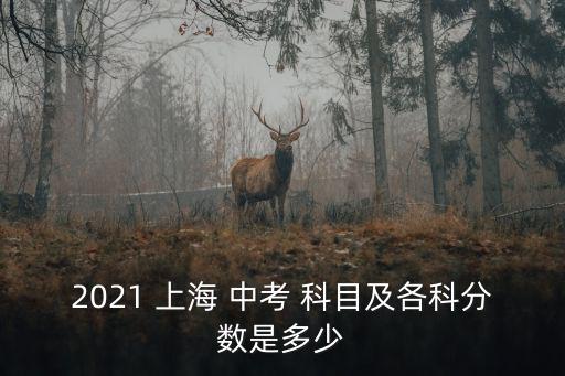 2021 上海 中考 科目及各科分數是多少