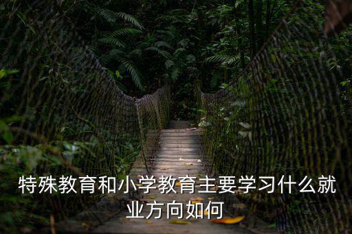 特殊教育概論,基礎課:特殊教育與發展心理學等課程與教材
