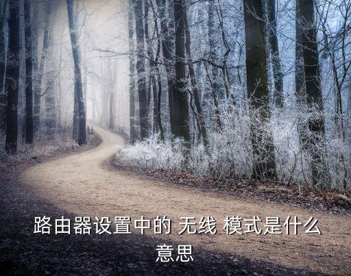  路由器設(shè)置中的 無線 模式是什么意思