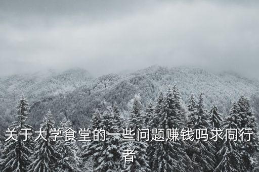 關(guān)于大學(xué)食堂的一些問題賺錢嗎求同行者