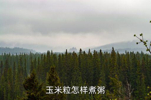 玉米粒怎樣煮粥