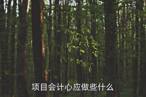 項目會計心應做些什么