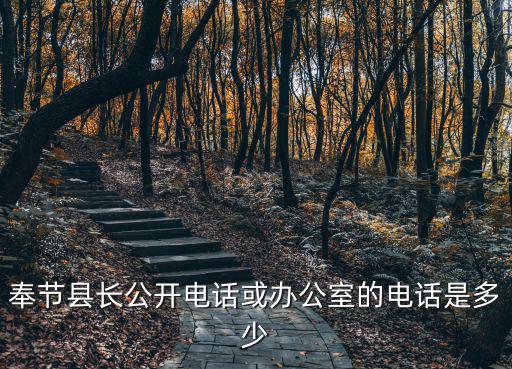 奉節縣長公開電話或辦公室的電話是多少