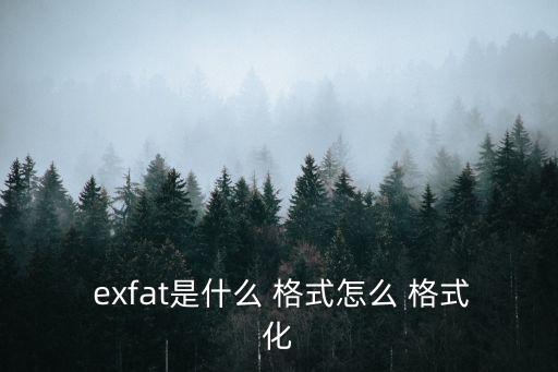  exfat是什么 格式怎么 格式化